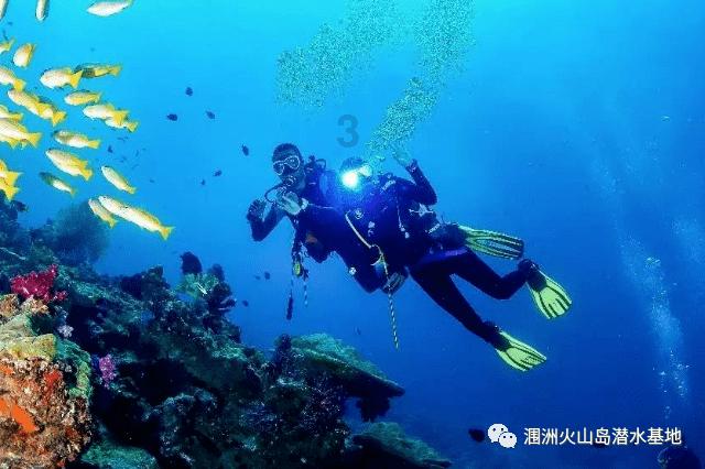 甜蜜糖果岛无敌版